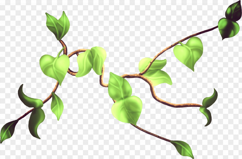 Leaf Twig Bud Clip Art PNG