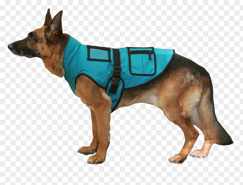 Service Dog Breed German Shepherd Snout Clothes PNG