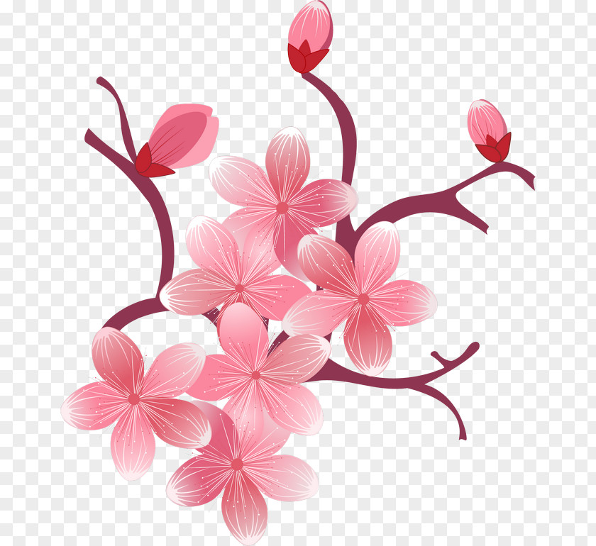 Spring Flowers Desktop Wallpaper Cherry Blossom IPhone 7 Clip Art PNG