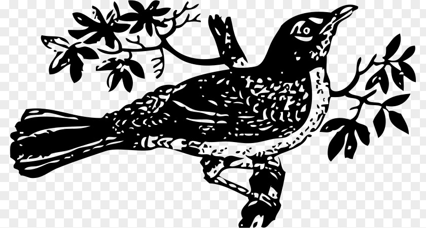 Tree-bird To Kill A Mockingbird Drawing Clip Art PNG