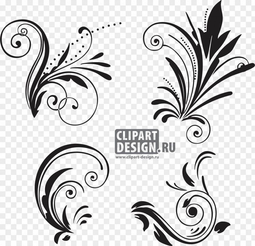 Vector Graphics Motif Graphic Design PNG