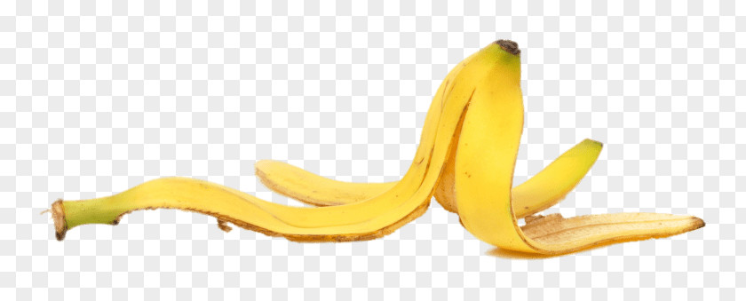Banana Peel Food Health PNG