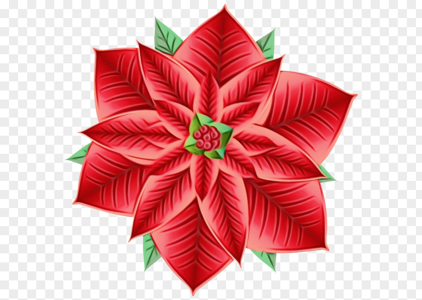 Christmas Day PNG