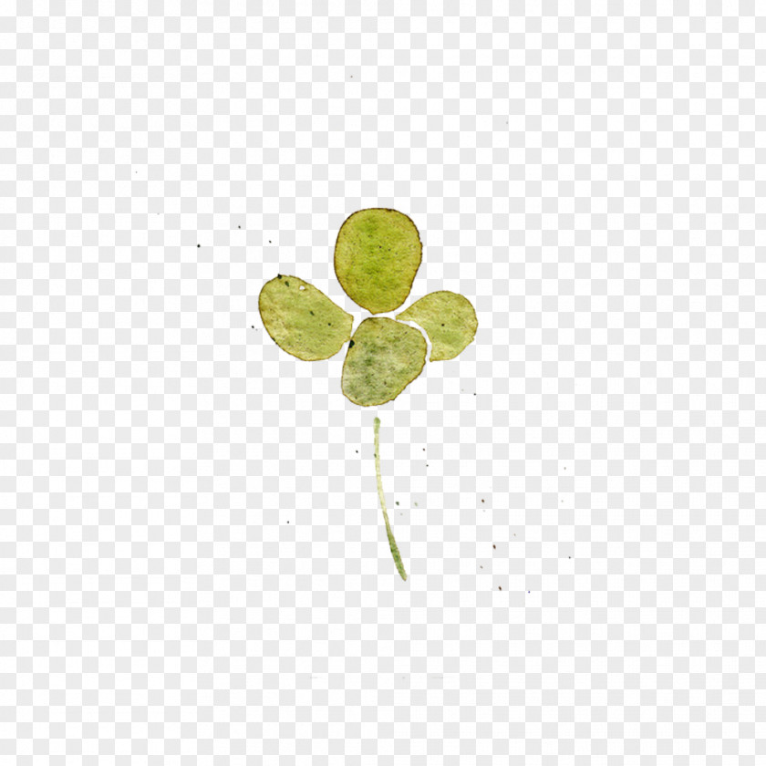 Little Clover Picture Material Leaf Petal High-definition Television PNG