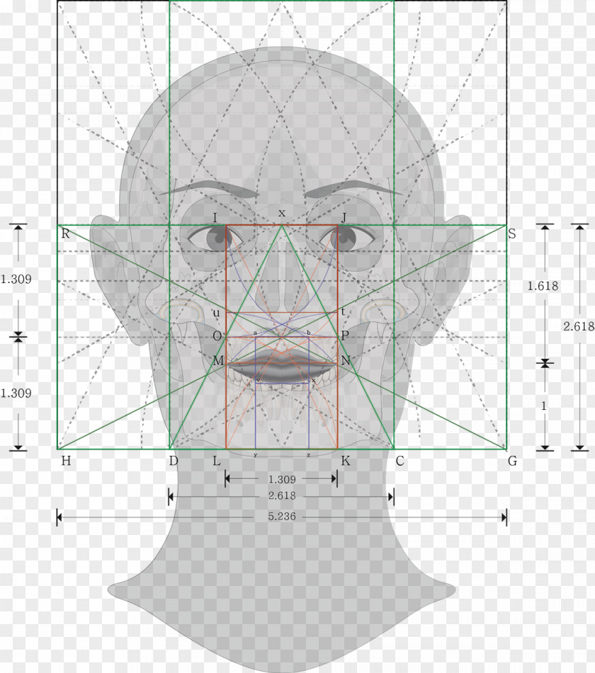 Nose Pattern PNG