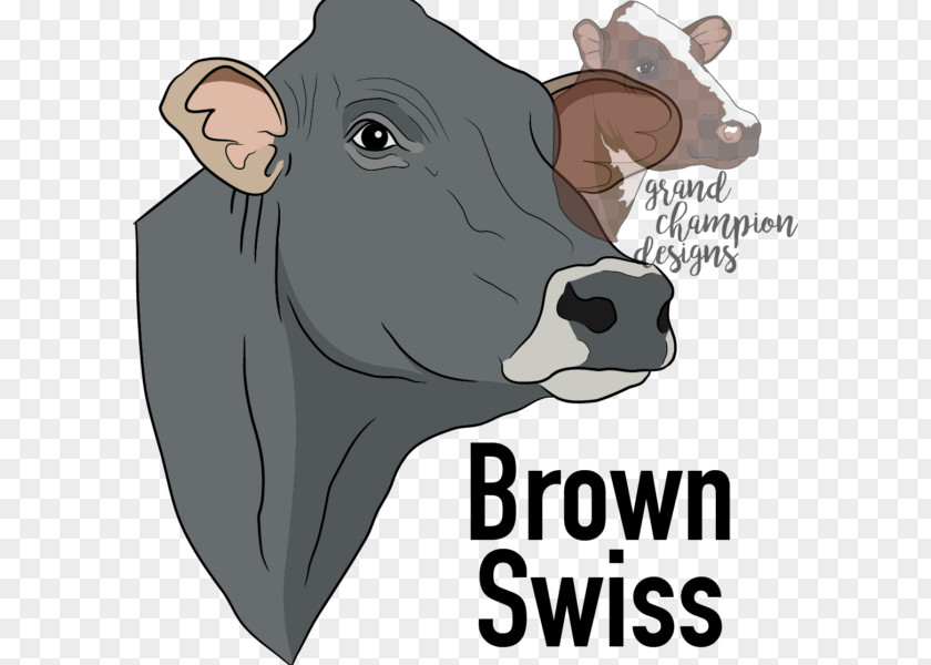 T-shirt Dairy Cattle Brown Swiss Ayrshire Shorthorn Holstein Friesian PNG