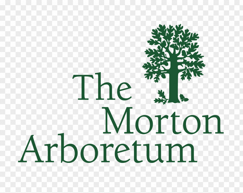 Tree Morton Arboretum Lisle Botanical Garden PNG