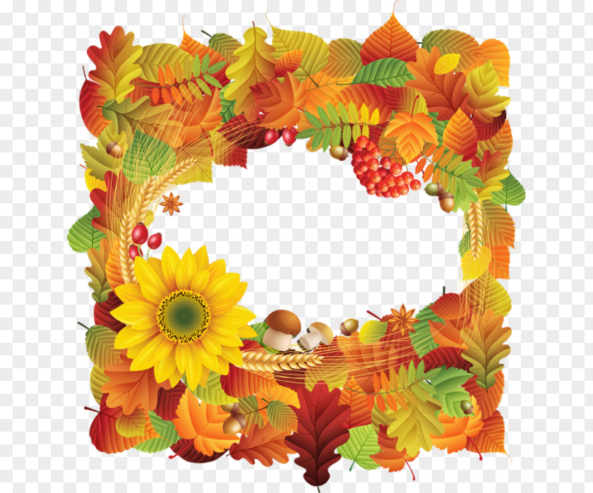 Autumn Clip Art Image Leaf PNG