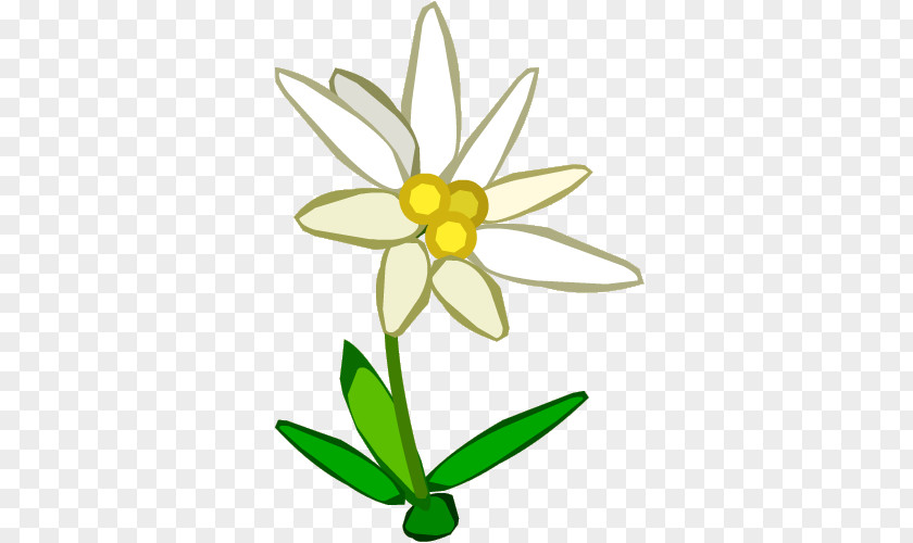 Edelweiss Border Cliparts Royalty-free Clip Art PNG