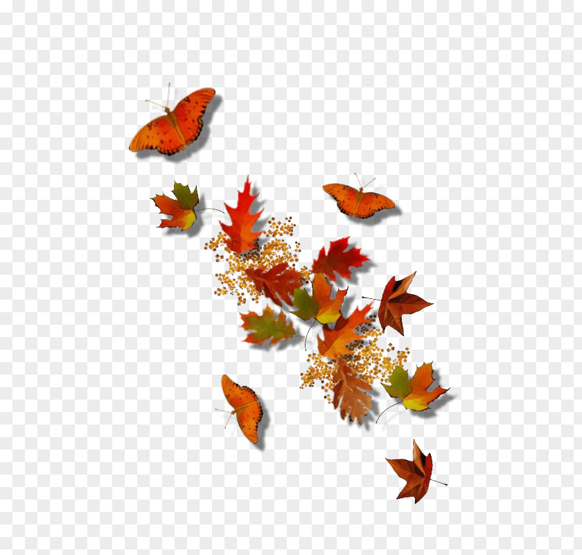 Monarch Butterfly Wing Watercolor Background Autumn Frame PNG