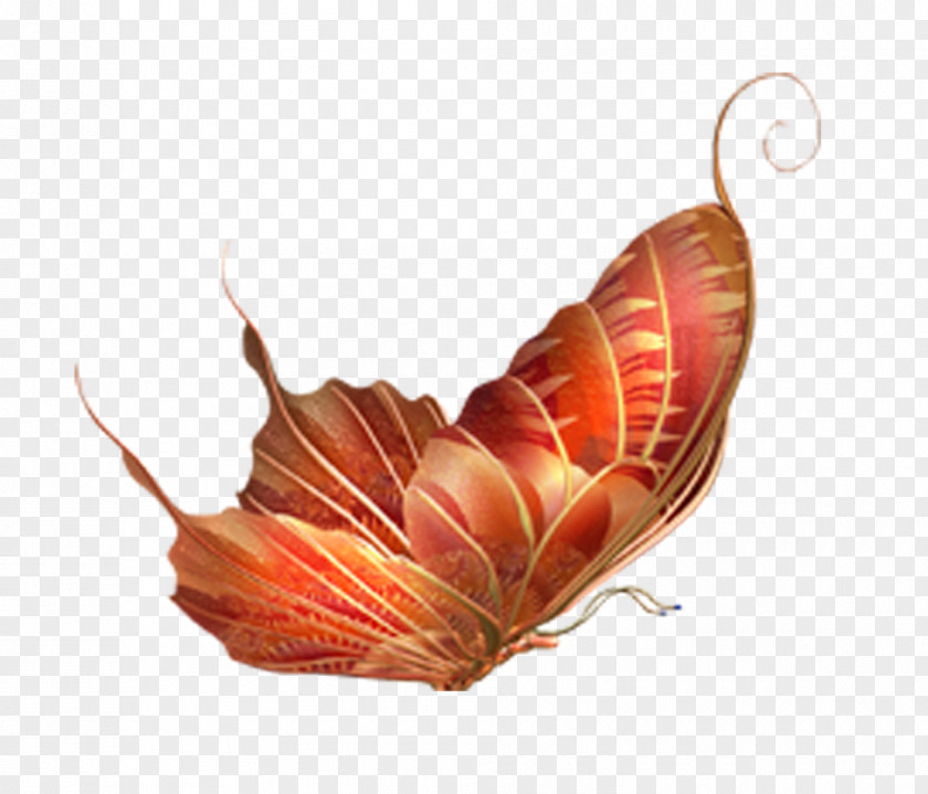 Colorful Butterfly Insect Clip Art PNG