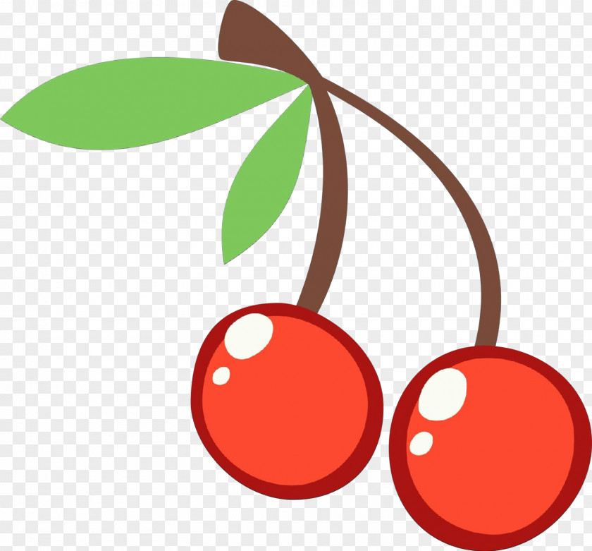 Drupe Fruit Cherry Red Leaf Plant Tree PNG