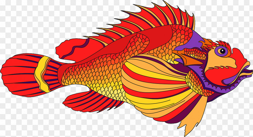 Fish Illustration RED.M PNG