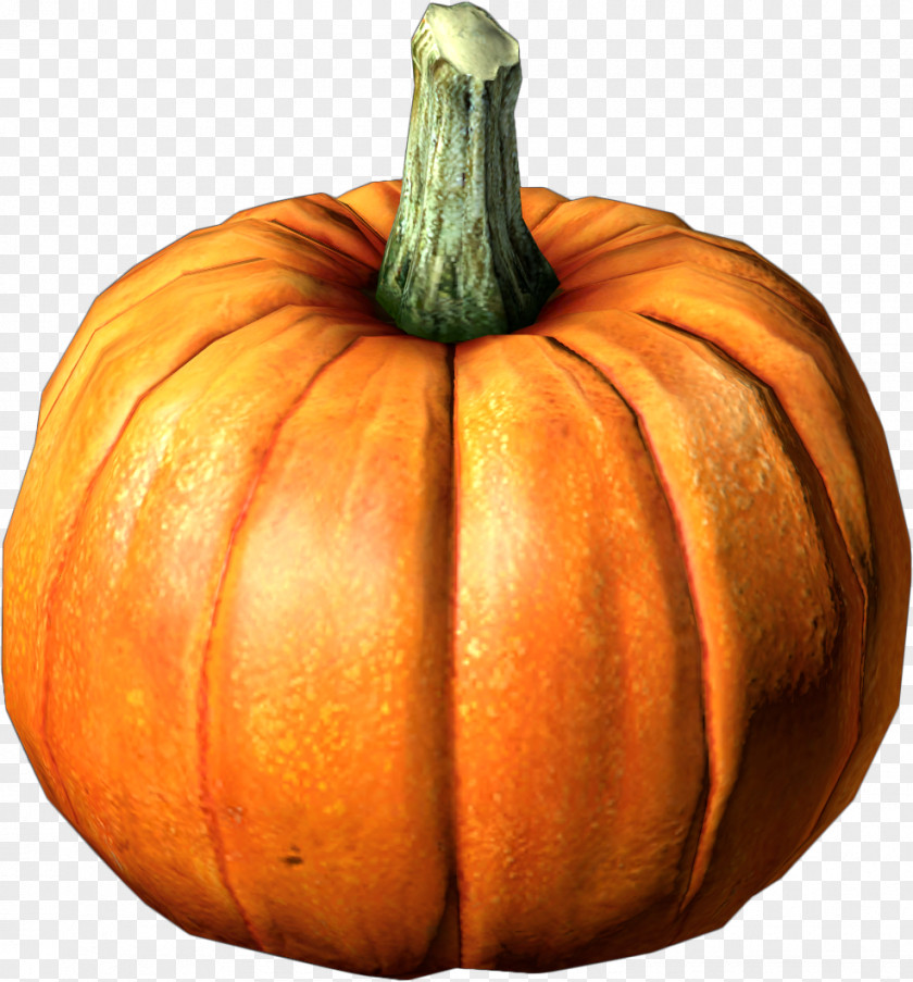 Pumpkin Lantern Calabaza Cucurbita Jack-o'-lantern Vegetable PNG