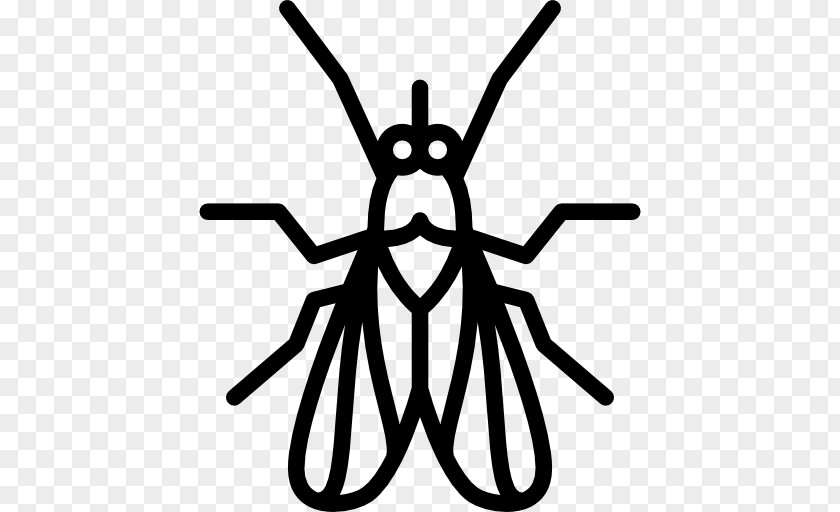 Barry Bee Benson Insect Invertebrate Vector Graphics Illustration Mosquito PNG