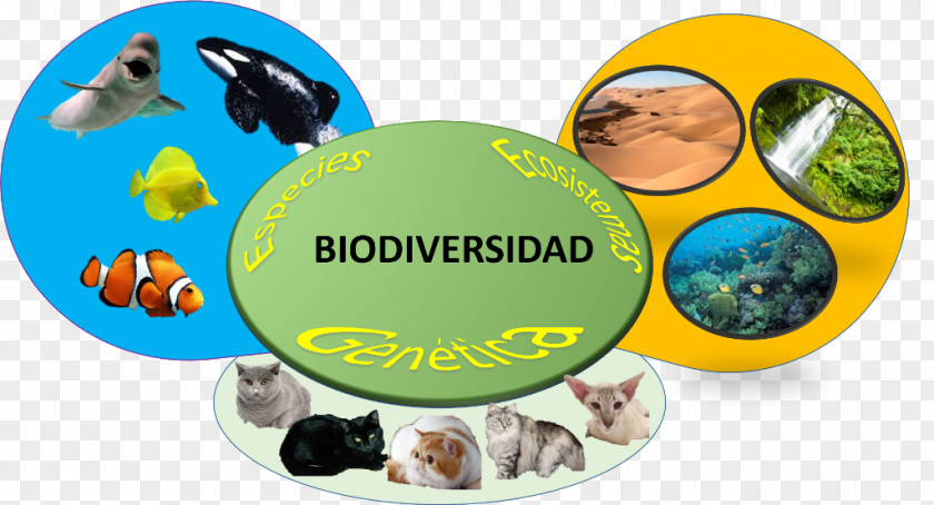 Biodiversity Ecosystem Diversity Introduced Species PNG