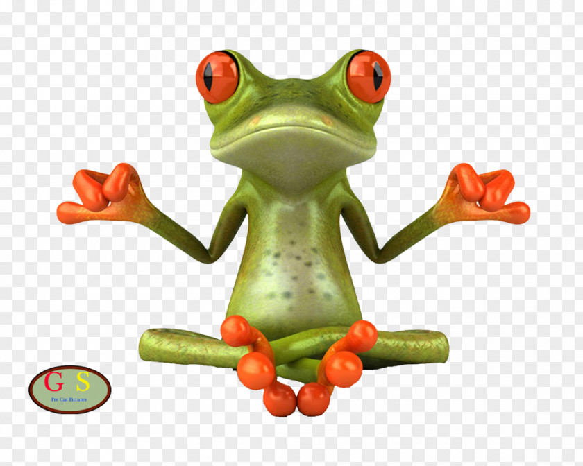 Frog Drawing Animation Clip Art PNG