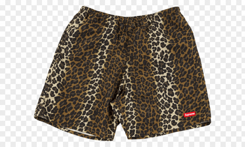 Leopard Face Trunks Shorts PNG