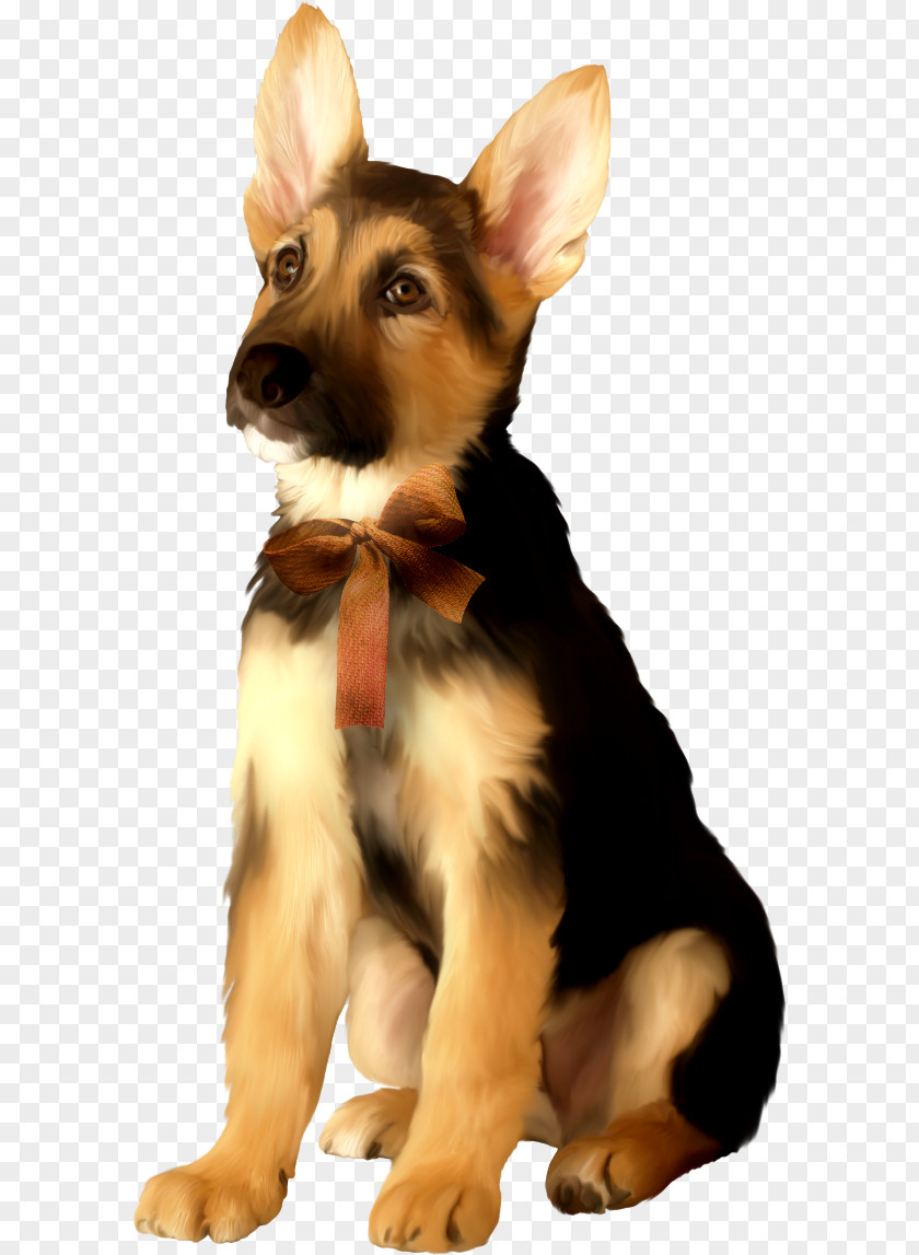 Puppy German Shepherd Companion Dog Herding Breed PNG