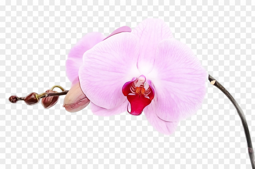 Artificial Flower PNG