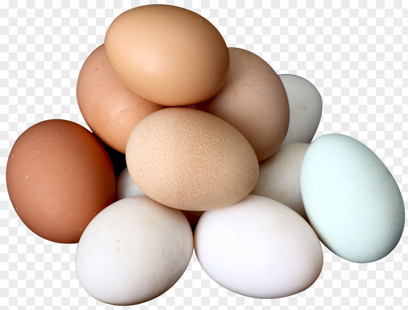 Egg Chicken White Yolk Boiled PNG