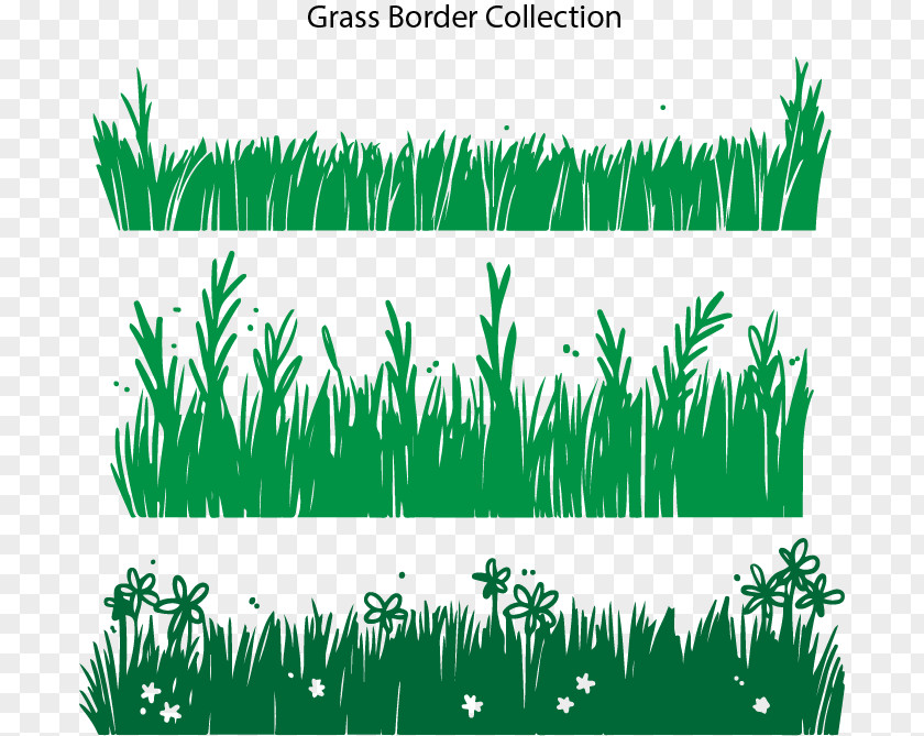 Grass Border Background Download PNG