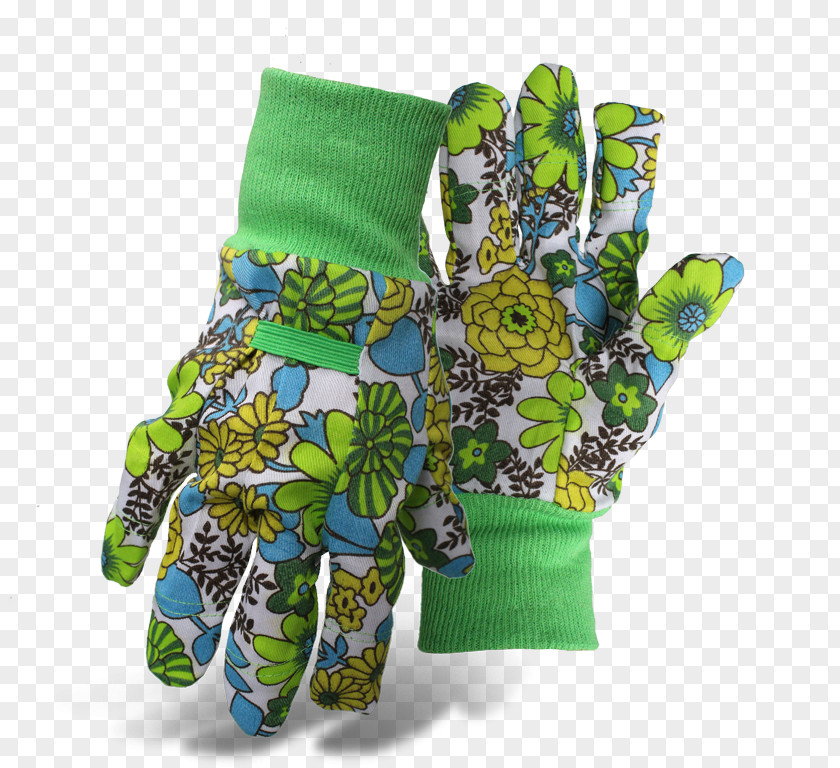 Ladies Finger Plants PNG