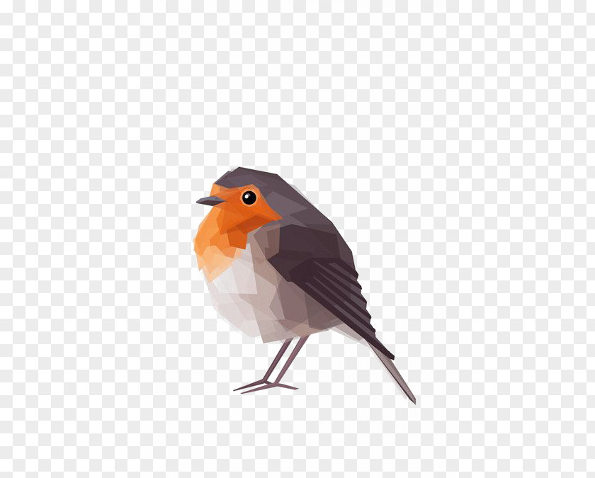 Sparrow European Robin Bird Illustration PNG