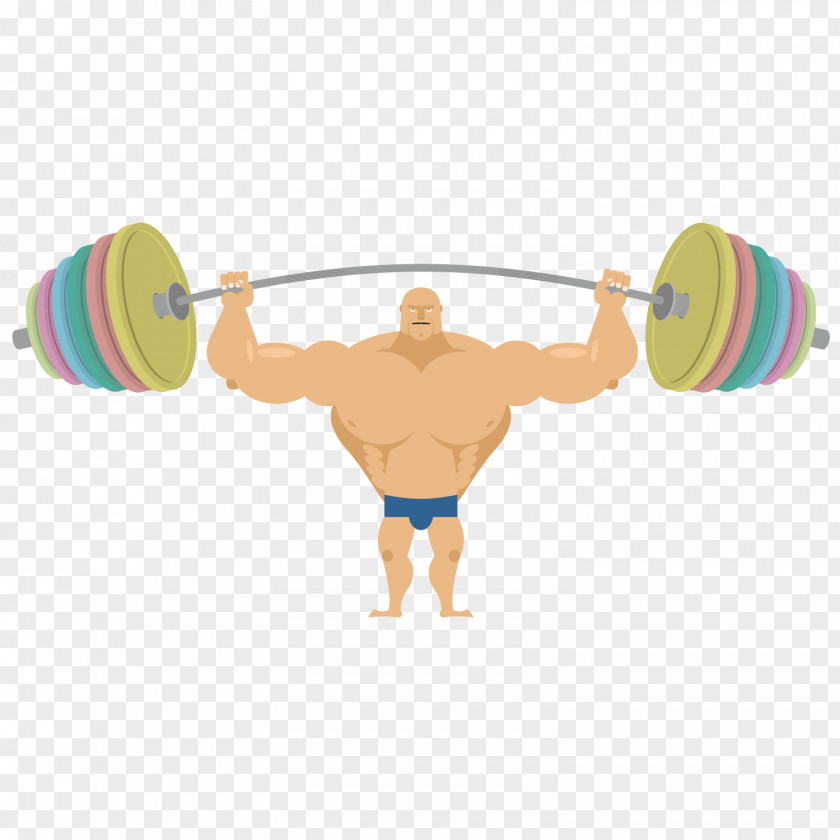 The Fat Man Holding Barbell Saint Patricks Day Bench Press Olympic Weightlifting Clip Art PNG
