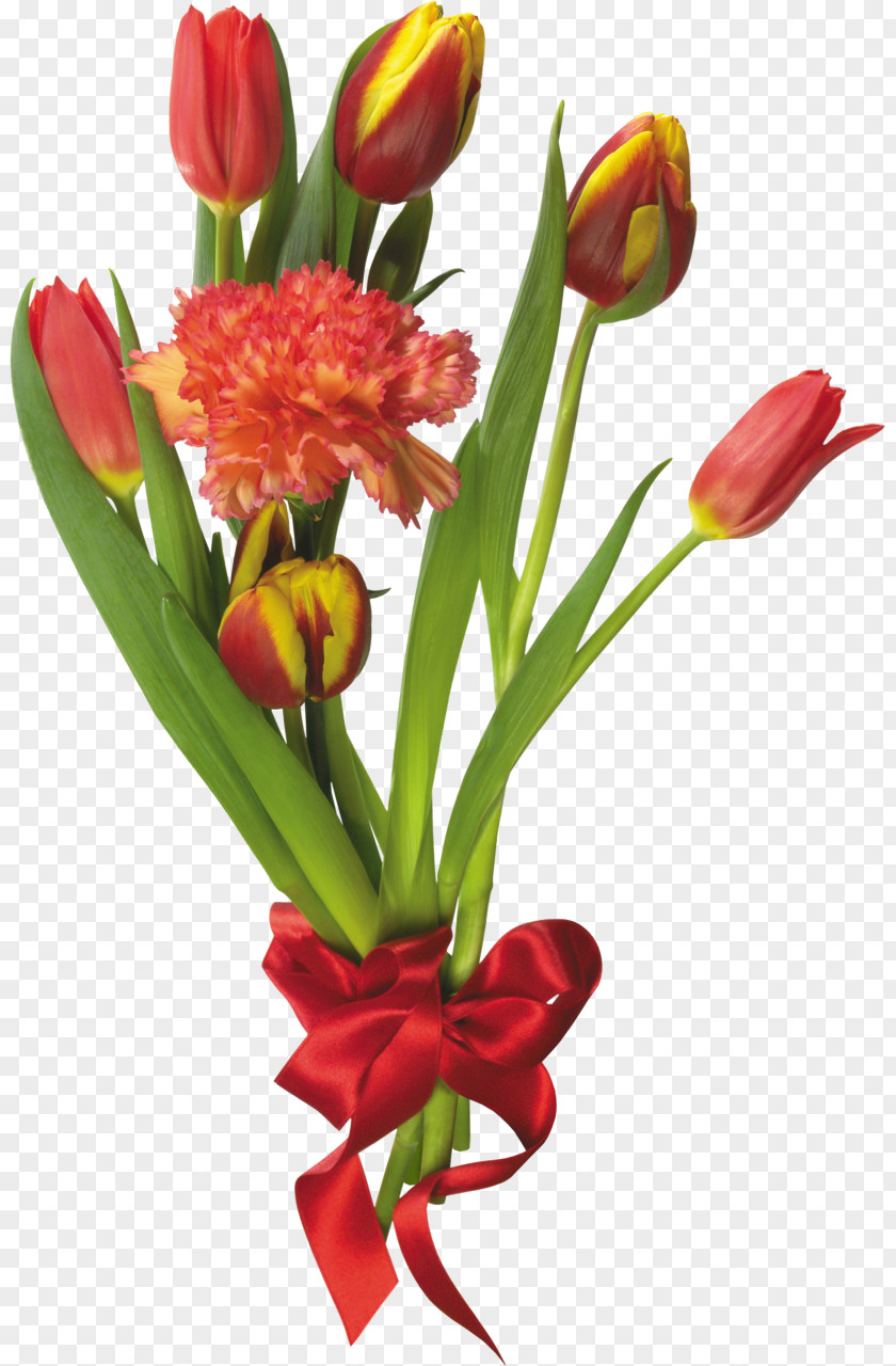 Tulip Flower Bouquet Floristry Cut Flowers PNG