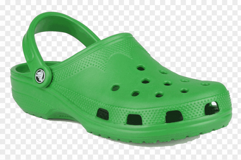Crocodile Crocs Shoe Clog Fashion Clip Art PNG