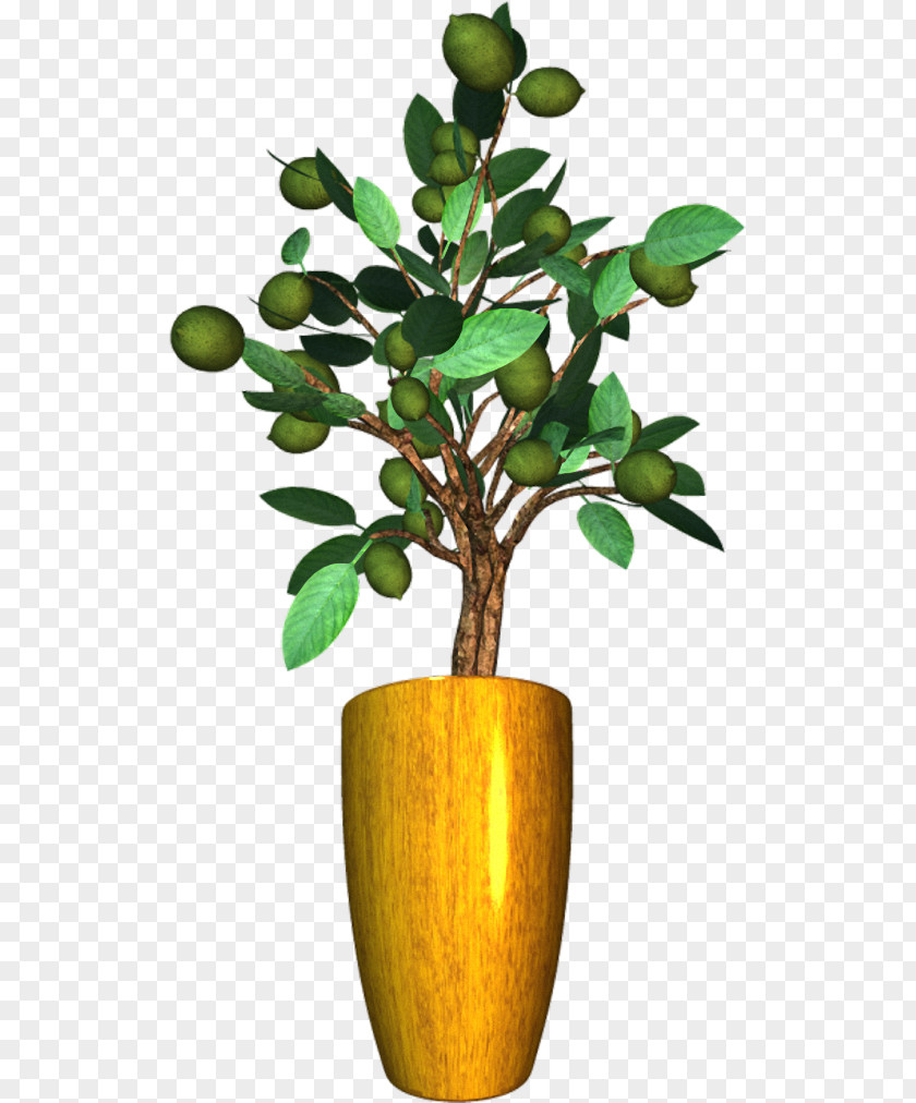 Flower Flowerpot Houseplant Arecaceae Chamaedorea Elegans PNG