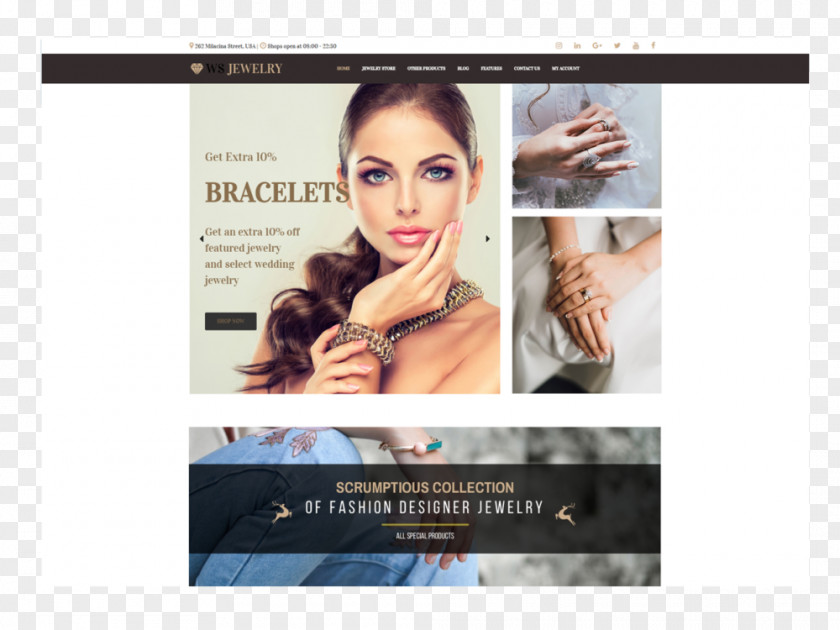 Jewellery WooCommerce Responsive Web Design WordPress E-commerce PNG