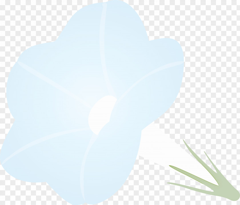 Morning Glory Flower PNG