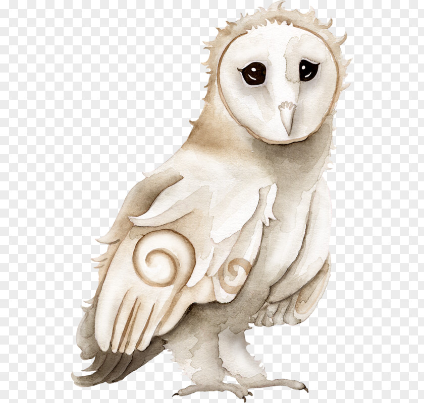 Owl Eurasian Eagle-owl Beak Dog PNG