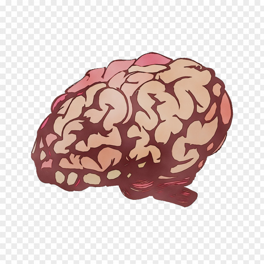 Brain M-brain Maroon Mind PNG