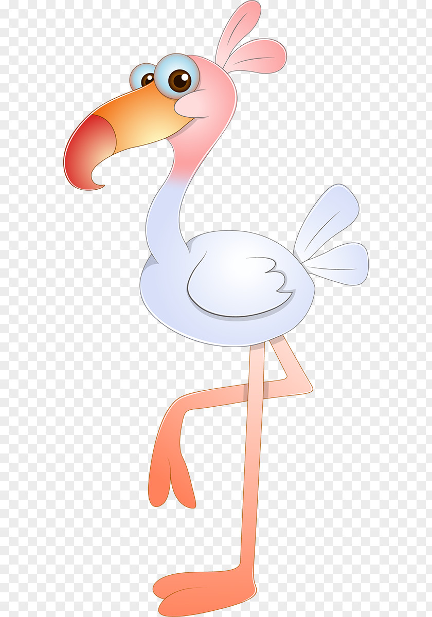 Duck Drawing Bird Cartoon PNG