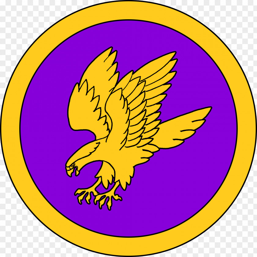 Falcon Heraldry Coat Of Arms Kingdom Calontir PNG