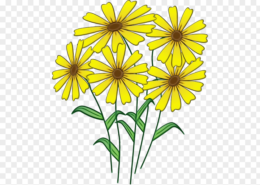 Plant Stem Petal Flower Yellow Flowering Wildflower PNG