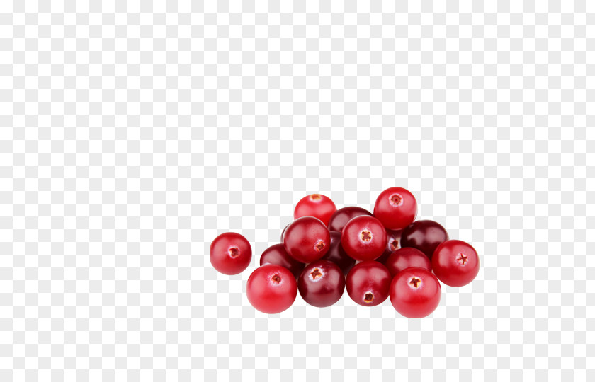 Source File Library Cranberry Bilberry Lingonberry Superfood PNG