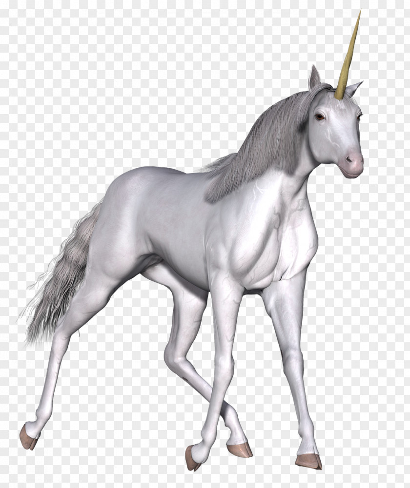 Unicorn Mane Mustang Legendary Creature PNG
