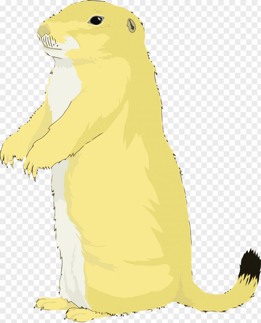 Gopher Yellow Cartoon Prairie Dog Adaptation PNG