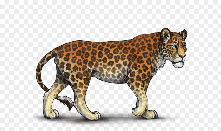 Leopard Tiger Cheetah Jaguar Felidae PNG