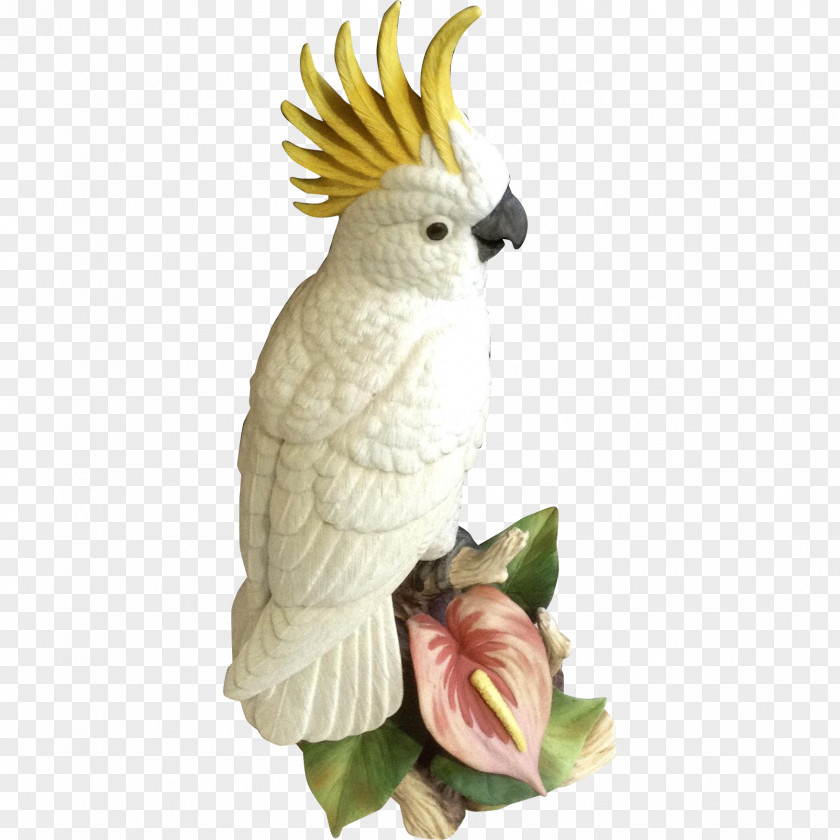 Cockatoo Bird Cockatiel Sulphur-crested Budgerigar PNG