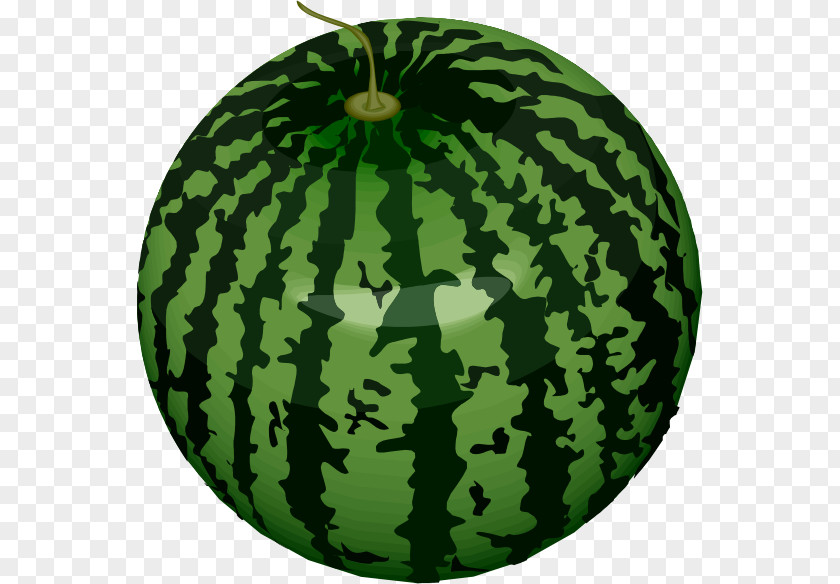 Melon Fruit Drawing Vegetable Sketch PNG