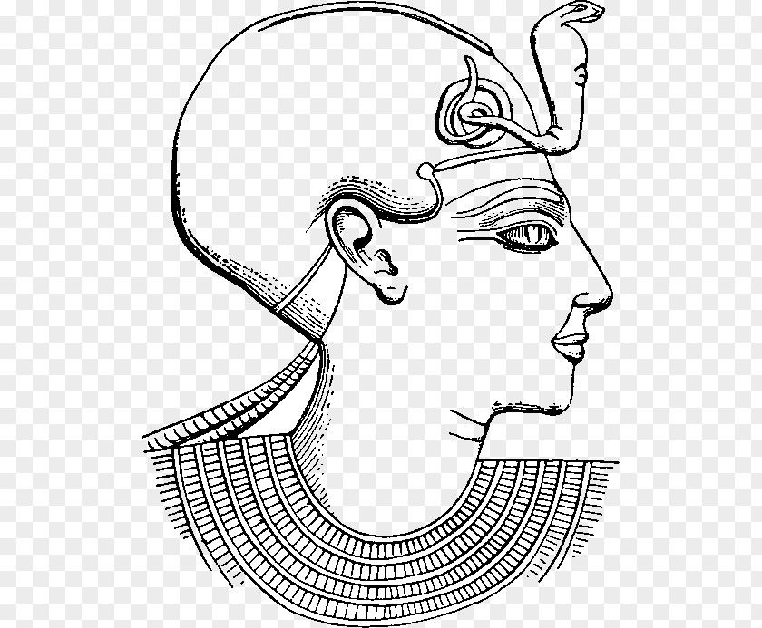 Pharaoh Drawing Clip Art /m/02csf Vertebrate Eye PNG