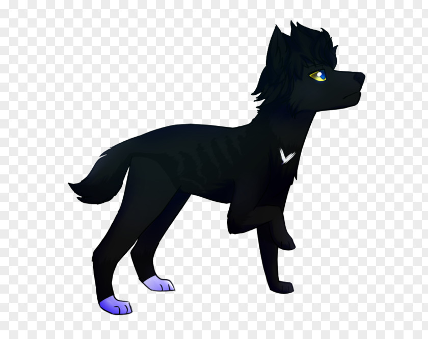 Puppy Dog Breed Schipperke Character PNG