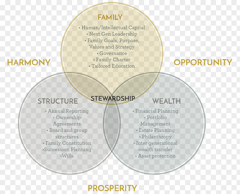 Stewardship Succession Planning Wealth Management Governance Framework PNG