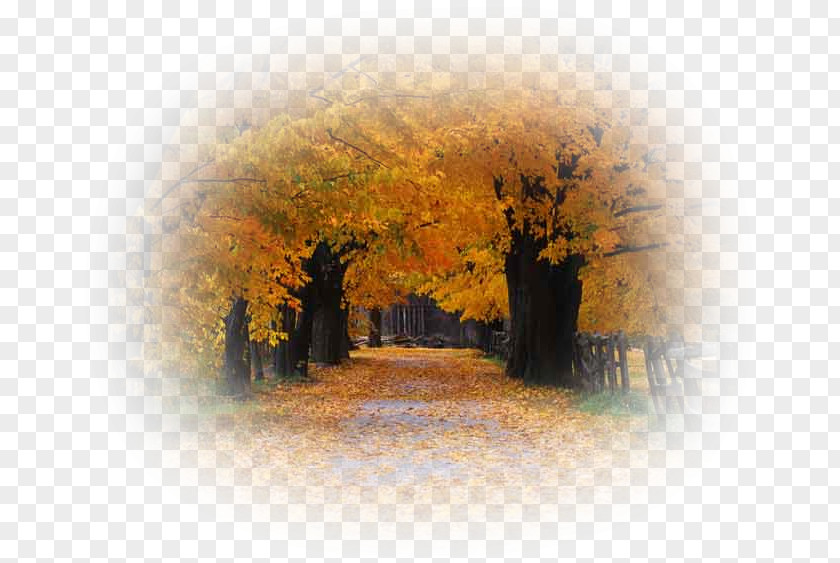 Autumn Desktop Wallpaper Season PNG