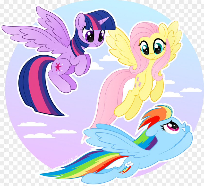 Aww Ecommerce My Little Pony Fluttershy Twilight Sparkle Rainbow Dash PNG